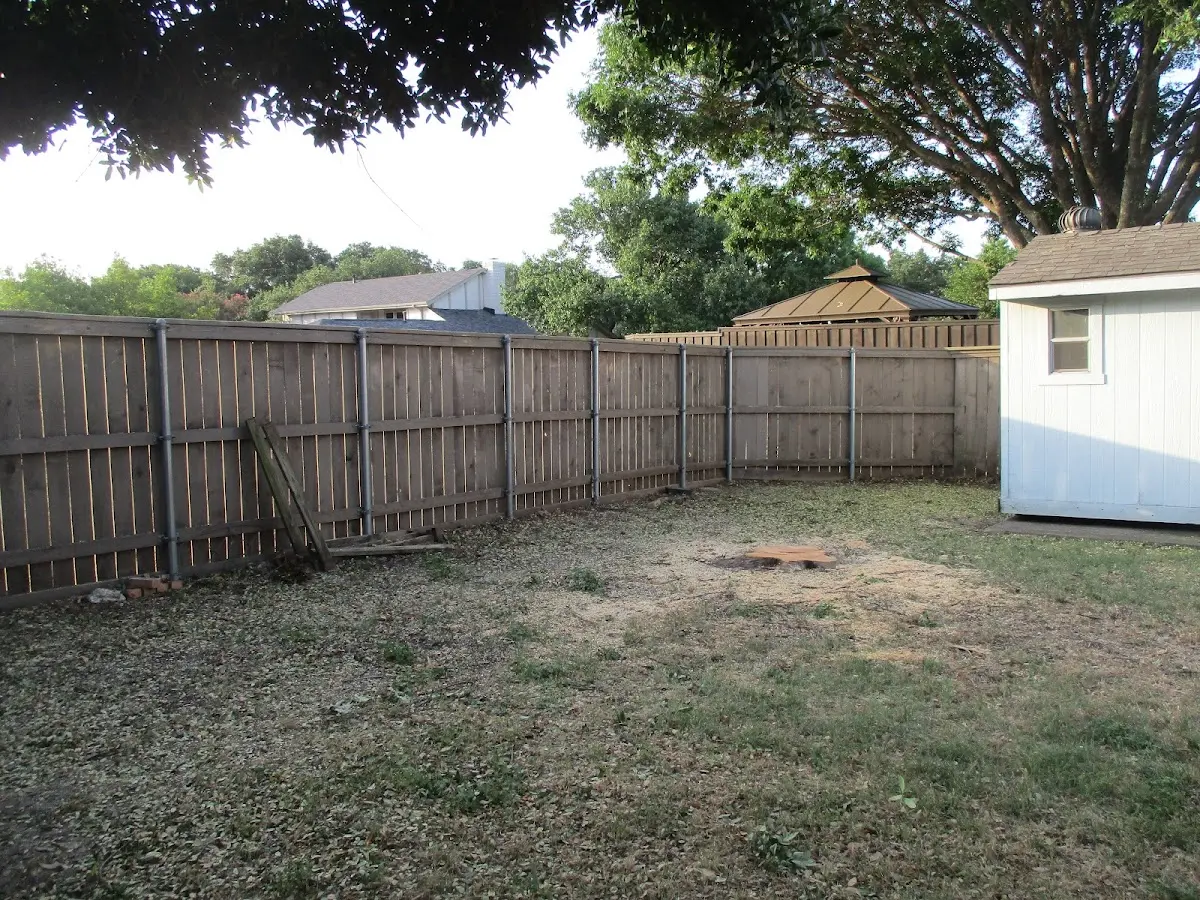 Cleared yard after professional tree removal in Waterville